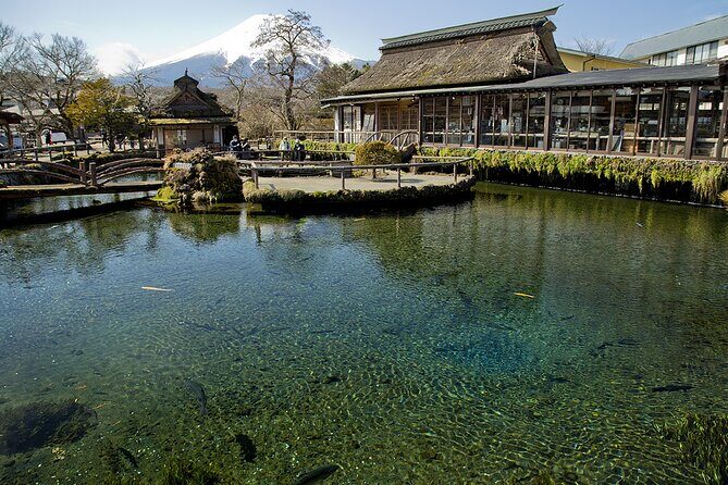 Mt FUJI Day Tour with Private Car and English Speaking Guide - Hotel pickup and car comfort for a 9–10 hour Fuji day