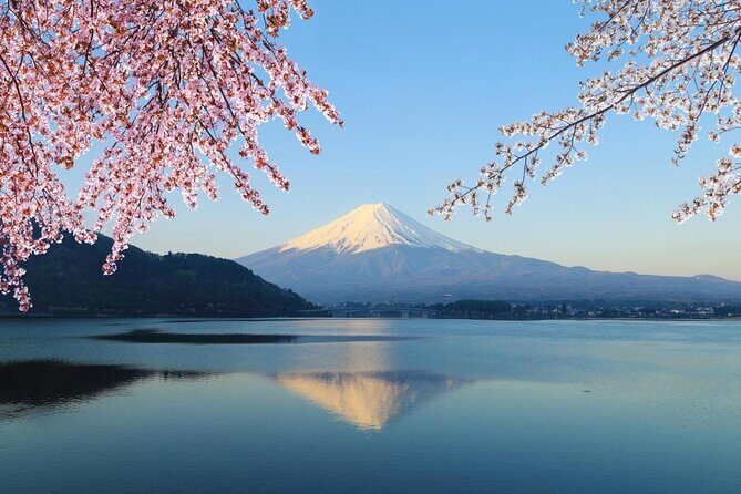 Mt. Fuji Day Trip from Tokyo with English Speaking Driver Guide - Key Things I’d Focus On Before You Go
