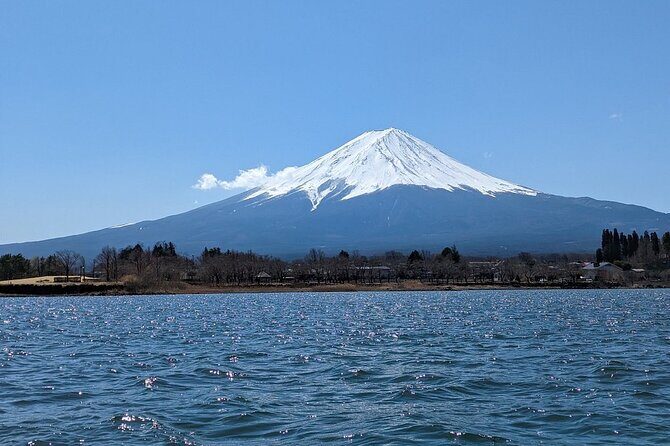 Mt. Fuji Day Trip from Tokyo with English Speaking Driver Guide - Mt. Fuji Day Trip Value: What $497.43 Actually Buys