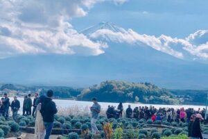 Mt. Fuji Day Trip from Tokyo with English Speaking Driver Guide - Getting Picked Up in Tokyo Without Losing a Day