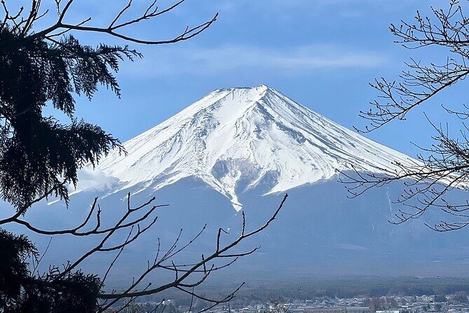 Mt. Fuji Day Trip from Tokyo with English Speaking Driver Guide - Oshino Hakkai and Oishi Park: Where the Views Meet Local Life