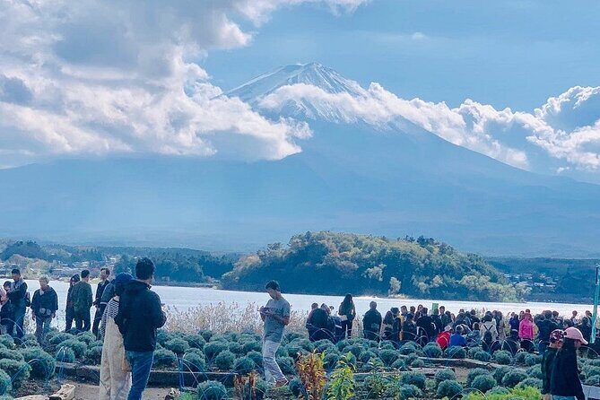 Mt. Fuji Day Trip from Tokyo with English Speaking Driver Guide - Getting Picked Up in Tokyo Without Losing a Day