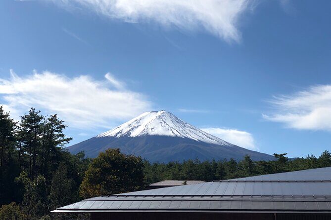 Mt. Fuji & Hakone Bus Tour Bullet Train Return & 28-Hotel Pick-up - Price and Value: Why $145.35 Can Work (If You Want the Whole Set)