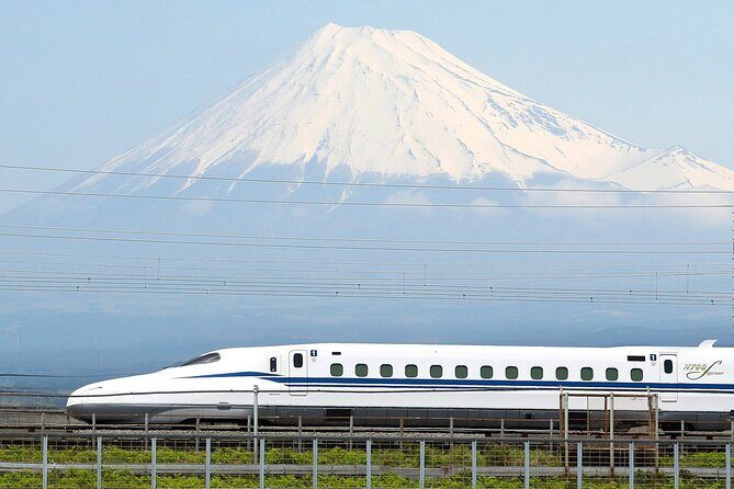 Mt. Fuji & Hakone Bus Tour Bullet Train Return & 28-Hotel Pick-up - Hotel Pick-up and Mobile Ticket: The Morning Reality Check