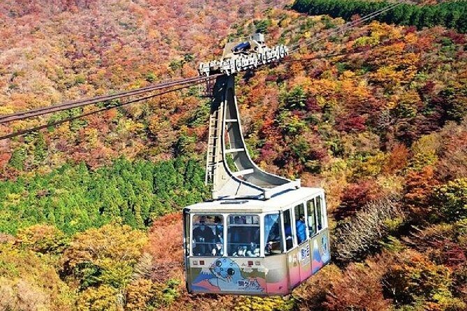 Mt Fuji & Hakone Cruise, Drum Show Bullet Train 1 Day from Tokyo - Odds and ends in the itinerary: what’s included, what isn’t, and why it matters