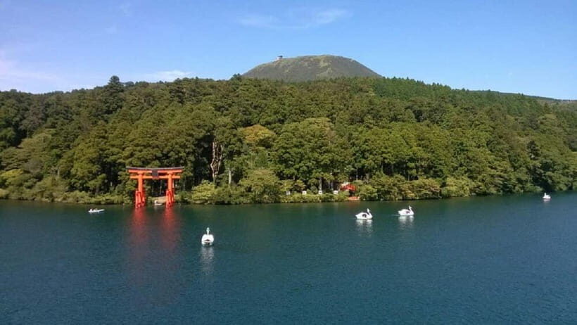 Mt.Fuji Hakone Day Tour With Lake Ashi Cruise, FREE Ropeway - Hakone Shrine: the cedar forest walk that sets the tone