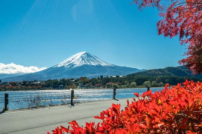 Mt.Fuji Hakone Day Tour With Lake Ashi Cruise, FREE Ropeway - Costs and what to pack so the day doesn’t snag