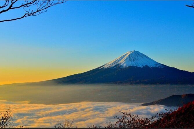 Mt. Fuji, Hakone Full-Day Private Tour with English Driver - Key things I’d plan for