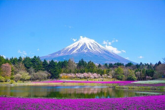 Mt. Fuji, Hakone Full-Day Private Tour with English Driver - Private Pickup That Makes Tokyo-to-Fuji Feel Less Hard