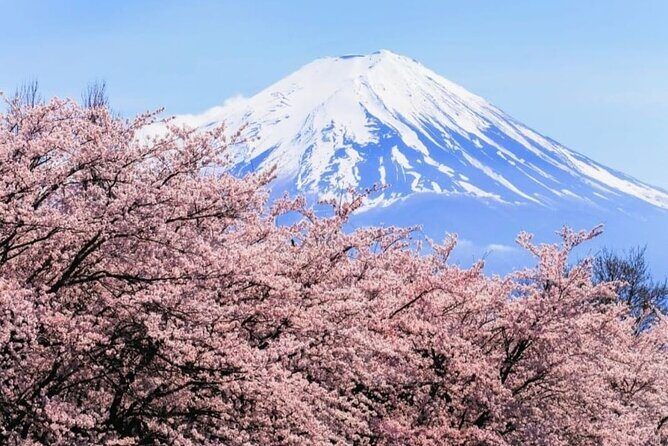 Mt. Fuji, Hakone Full-Day Private Tour with English Driver - Chureito Pagoda Steps: Short Time, Big Photos, Real Effort