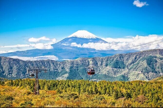 Mt. Fuji, Hakone Full-Day Private Tour with English Driver - Owakudani Valley: Steam, Boiling Pools, and Black Eggs