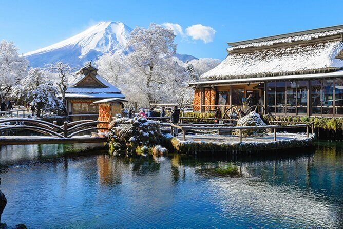 Mt. Fuji, Hakone Full-Day Private Tour with English Driver Guide - Key Points Worth Getting Excited About