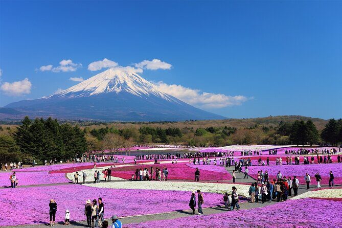 Mt. Fuji, Hakone Full-Day Private Tour with English Driver Guide - The big variable: weather and the real-life Mt. Fuji 5th Station check
