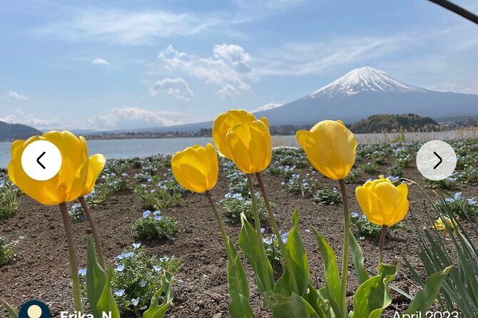 Mt. Fuji, Hakone Full-Day Private Tour with English Driver Guide - Lake Kawaguchiko plus the Ensoleille cruise and Kachi Kachi Ropeway options
