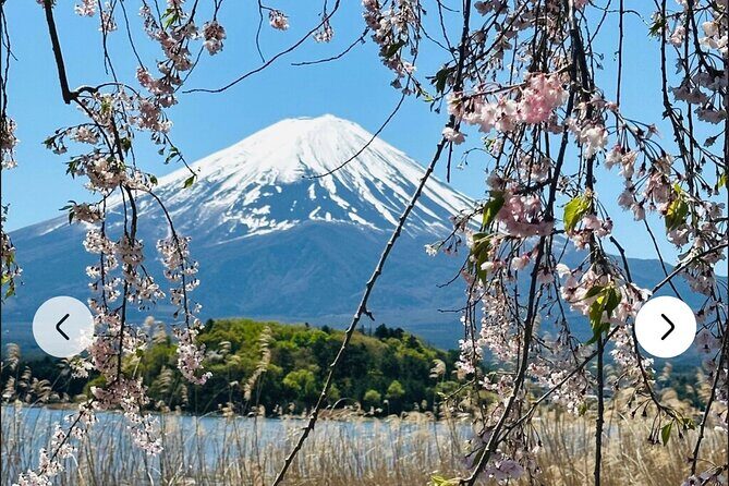 Mt. Fuji, Hakone Full-Day Private Tour with English Driver Guide - Oshino Hakkai ponds: eight spots fed by snowmelt