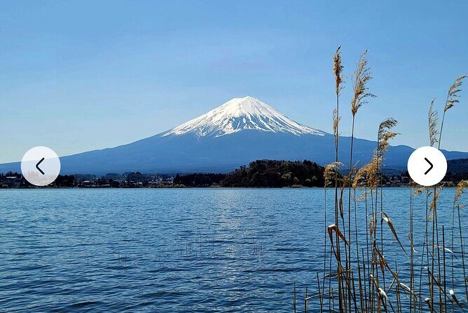 Mt. Fuji, Hakone Full-Day Private Tour with English Driver Guide - UNESCO-linked shrine stop at Kitaguchi Hongu Fuji Sengen Jinja