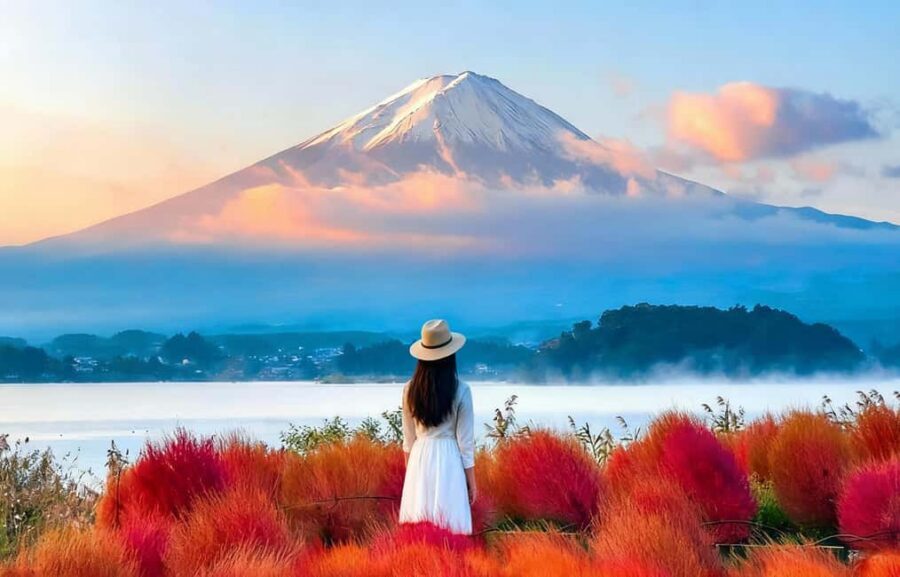Mt. Fuji & Lake Kawaguchiko Ropeway Panorama Full-Day Tour - Why This Mt. Fuji Day Trip Works So Well From Tokyo