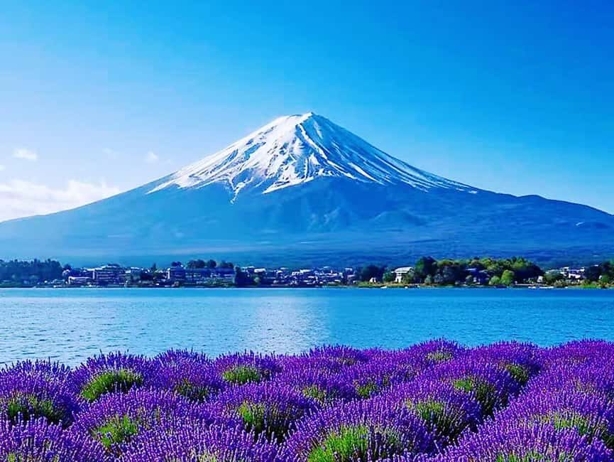 Mt. Fuji & Lake Kawaguchiko Ropeway Panorama Full-Day Tour - When the Ropeway Isn’t Running: The Dec 2025 Switch to Samurai Ship