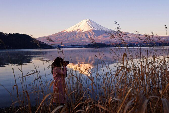 Mt. Fuji Private Tour with English Speaking Driver - A private Mt. Fuji day with real flexibility