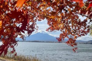 Mt Fuji Private Tour with English speaking driver - Arakura Fuji Sengen Shrine & Sengen Park: the pagoda view stop