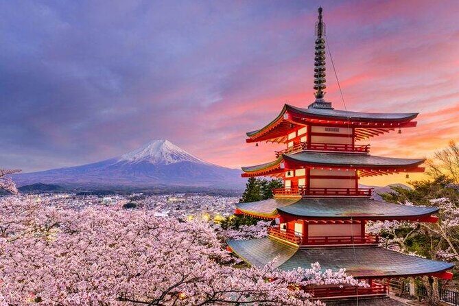 Mt. Fuji Private Tour with English Speaking Driver - Mt. Fuji Subaru Line 5th Station: close-up views and the road realities