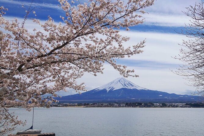 Mt. Fuji Private Tour with English Speaking Driver - Lake Kawaguchiko: a second-largest-lake setting for real Fuji views