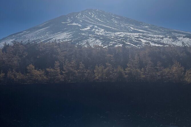 Mt. Fuji Private Tour with English Speaking Driver - Oishi Park flower walk: 350 meters of seasonal color