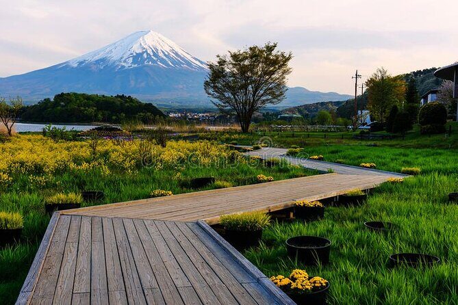 Mt. Fuji Private Tour with English Speaking Driver - Oshino Hakkai: eight springs, clear water, and the Diamond Fuji idea