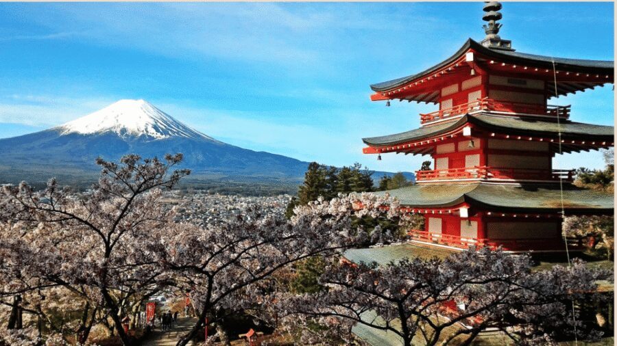 Mt Fuji Sightseeing Private tour with English Speaking Guide - Mt. Fuji and Hakone in One Day: Why This Private Route Works