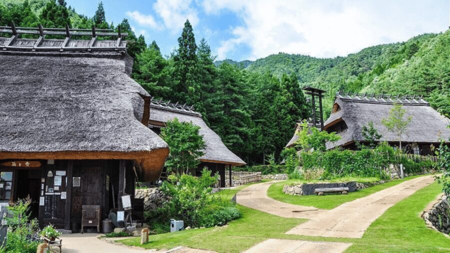 Mt Fuji Sightseeing Private tour with English Speaking Guide - Lake Town Stops and Scenic Parks: Where the Best Angles Hide