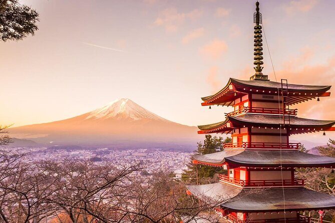 Mt. Fuji Tours with Kawaguchi Lake Ropeway View English Speaking - Tokyo-to-Fuji timing: why this “10 hours” setup matters