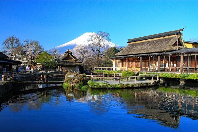 Mt. Fuji Tours with Kawaguchi Lake Ropeway View English Speaking - Konohana Museum matcha break: a culture stop that’s actually timed