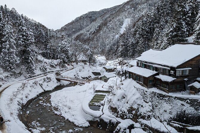 Nagano Snow Monkey 1 Day Tour with Beef Sukiyaki Lunch from Tokyo - What to Pack for a Snow Monkey Day From Tokyo