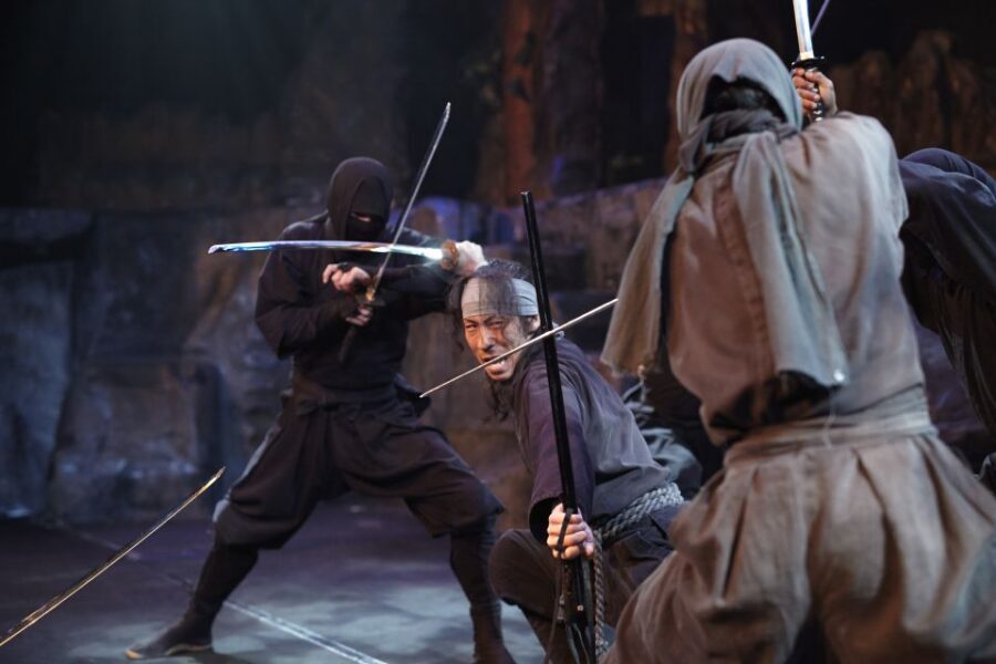 Nikko: Edo Wonderland Edomura Cultural Theme Park Ticket - Workshops and Demonstrations: Samurai Sword Basics and Edo Arts