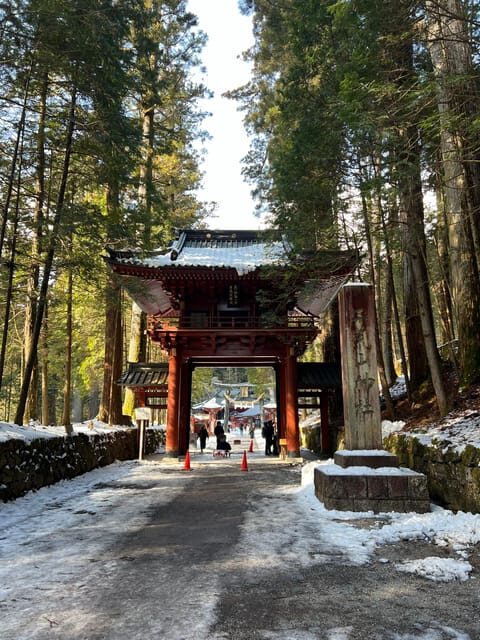 Nikko Heritage & Nature Day Trip from Tokyo - Kegon Falls: Nearly 100 Meters of Nature Power