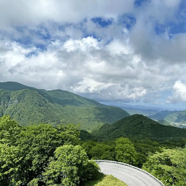Nikko Heritage & Nature Day Trip from Tokyo - The Private Car Experience: Pickup, Wi-Fi, and Comfort on Windy Roads