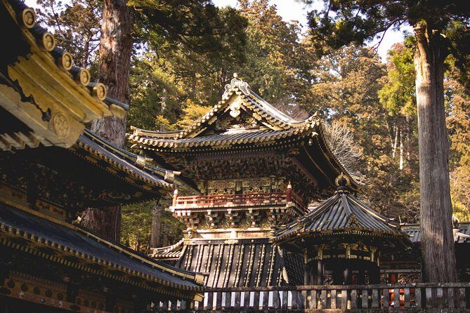 Nikko Private Day Tour from Tokyo with English-Speaking Driver - Price and logistics: what $423.40 per group really means