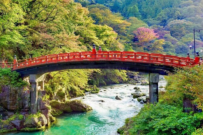 One Day Private Tour to Nikko With English Speaking Driver - How this private Nikko day really plays out from Tokyo