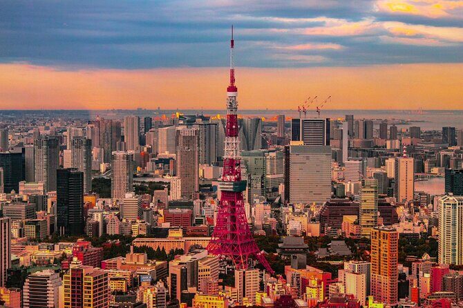 Private and Customisable Tokyo Tour with English Driver-guide - Private Car in Tokyo: less sprinting, more looking