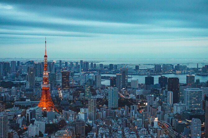 Private and Customisable Tokyo Tour with English Driver-guide - Price and what you truly get for $270 per group