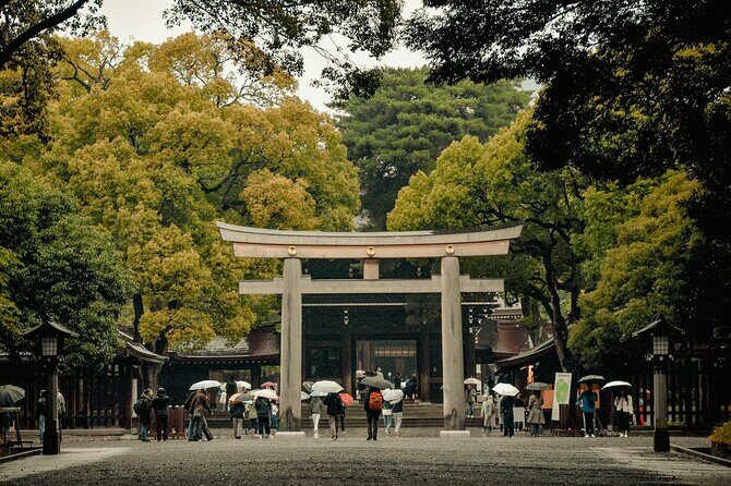 Private and Customisable Tokyo Tour with English Driver-guide - Modern Tokyo pulse: Shibuya Crossing and Takeshita Street