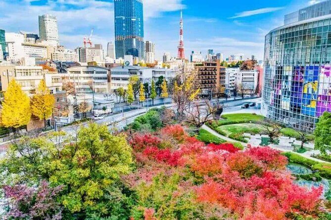 Private and Customisable Tokyo Tour with English Driver-guide - Quiet reset and a skyline finale: Meiji Jingu and Tokyo Tower