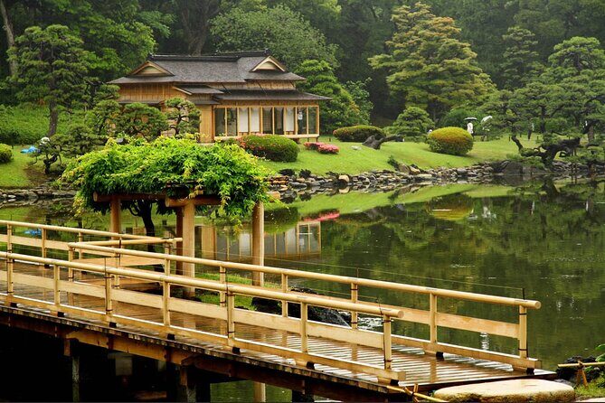 Private and Customisable Tokyo Tour with English Driver-guide - The practical stuff that makes the day go smoothly