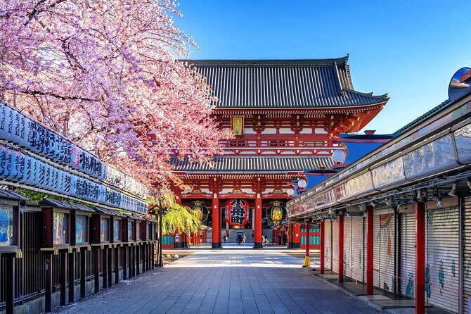 Private and Customisable Tokyo Tour with English Driver-guide - Who this private Tokyo tour fits best