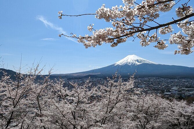 Private Car Tour to Mt. Fuji Lake Kawaguchiko or Hakone - Key things that make this Fuji-and-Hakone day worth your time