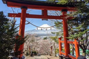 Private Car Tour to Mt. Fuji Lake Kawaguchiko or Hakone - Choosing Kawaguchiko or Hakone: Two Different Moods, Same Fuji Energy