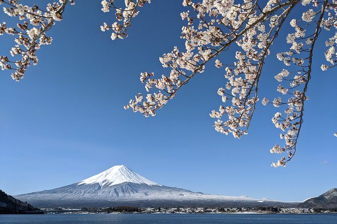 Private Car Tour to Mt. Fuji Lake Kawaguchiko or Hakone - Arakura Sengen Shrine and the Chureito Pagoda Fuji Frame