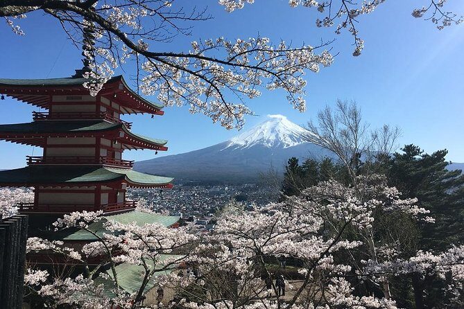 Private Car Tour to Mt. Fuji Lake Kawaguchiko or Hakone - Mt. Fuji 5th Station: Worth Considering, But Time-Sensitive