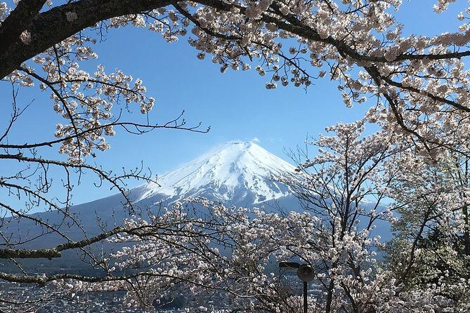 Private Car Tour to Mt. Fuji Lake Kawaguchiko or Hakone - If You Choose Hakone: Ropeway, Owakudani, Shrine, and Lake Ashi