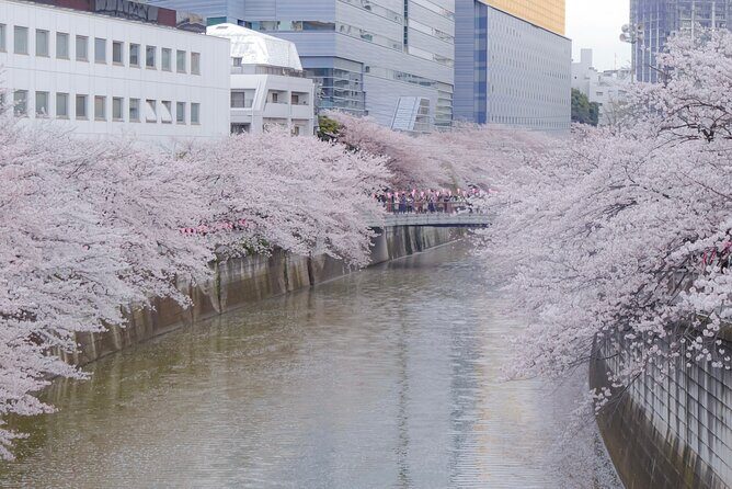 Private Custom Tour: Tokyo in a Day - Asakusa: temple-area atmosphere plus local neighborhood time